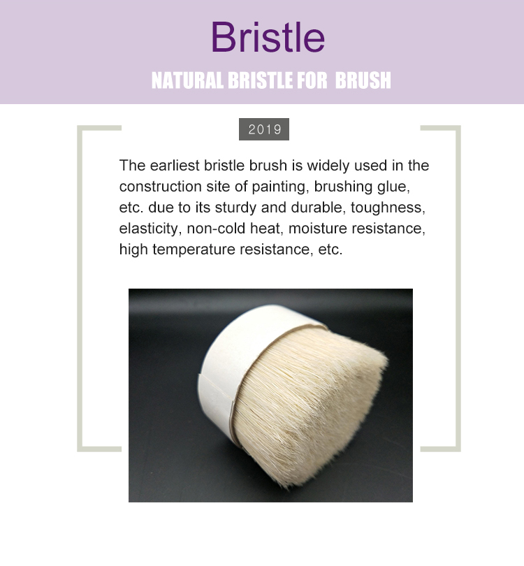 bristle xiangq_04.jpg bristle xiangq_04.jpg