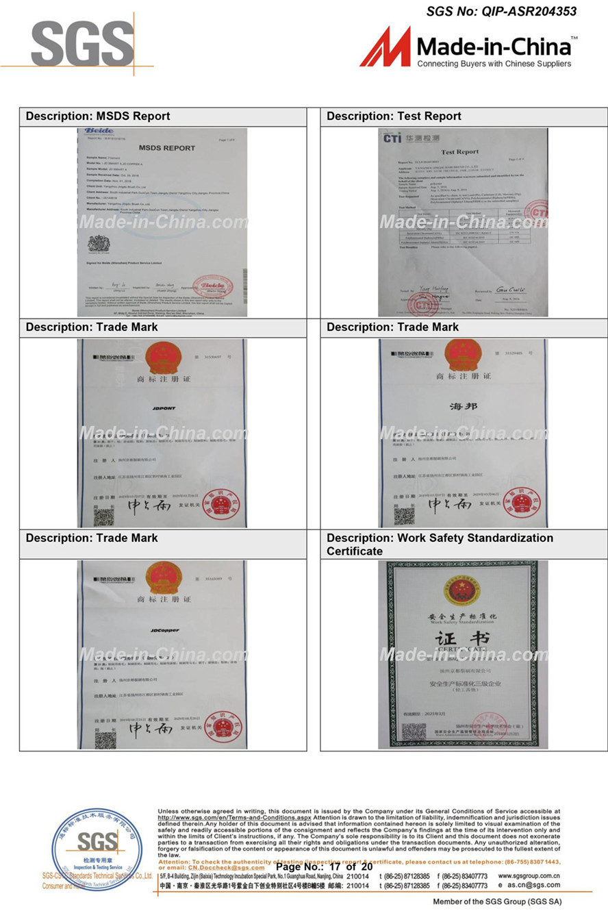 2020 SGS ANNUAL REPORT OF YANGZHOU JINGDU BRUSH CO-17.jpg