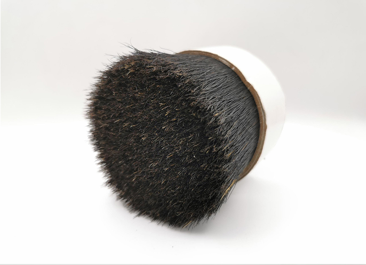 black bristle.jpg black bristle.jpg