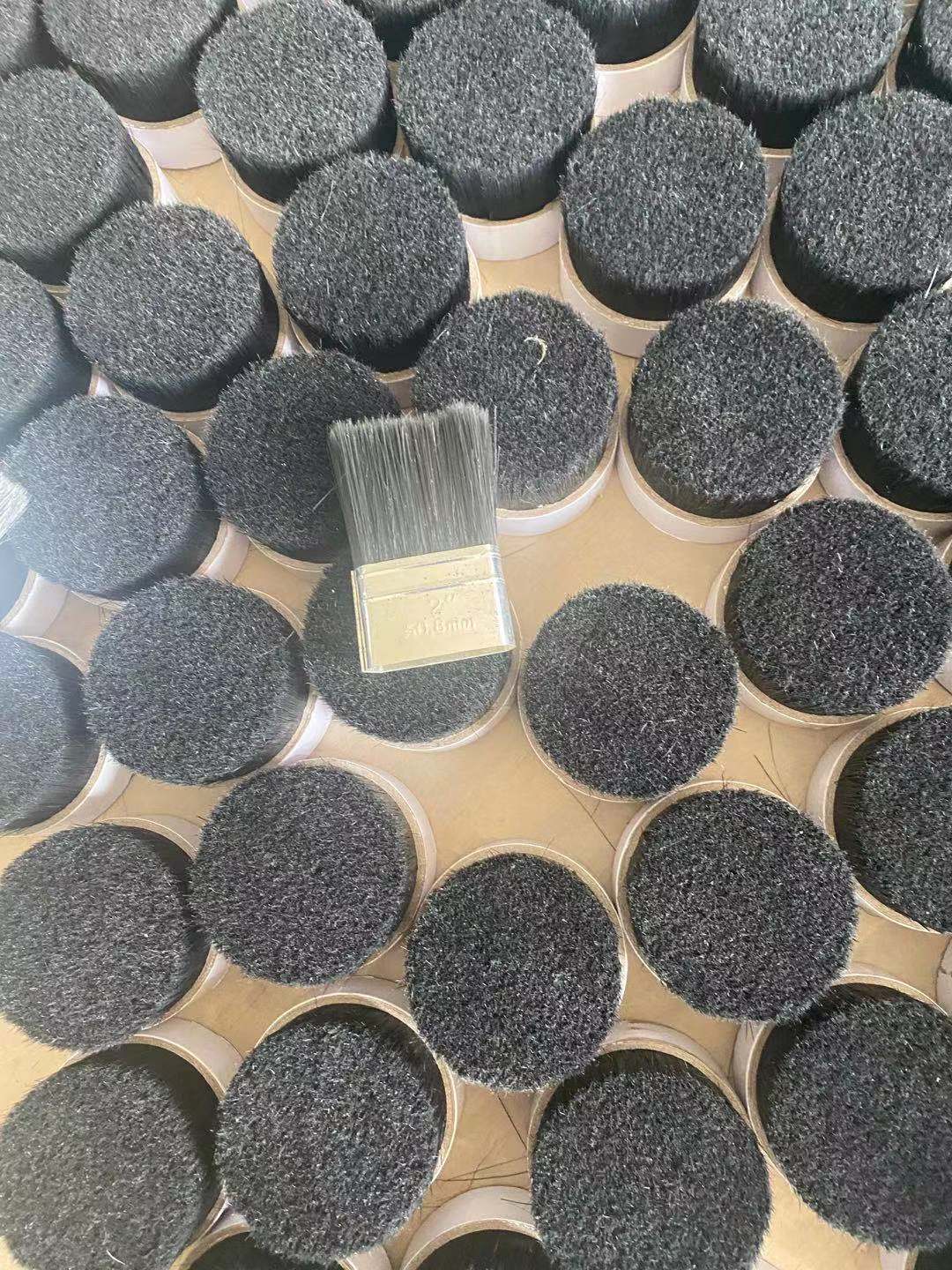 CHINA BRISTLE CHINA BRISTLE