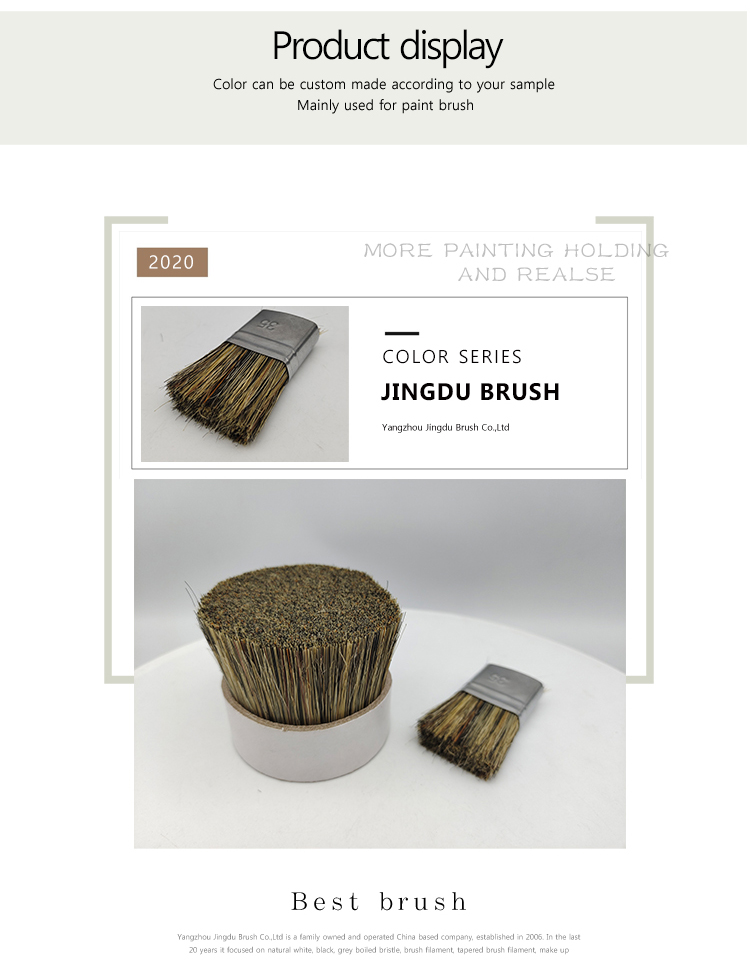 china bristle 