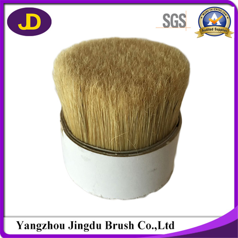 natural white bristle